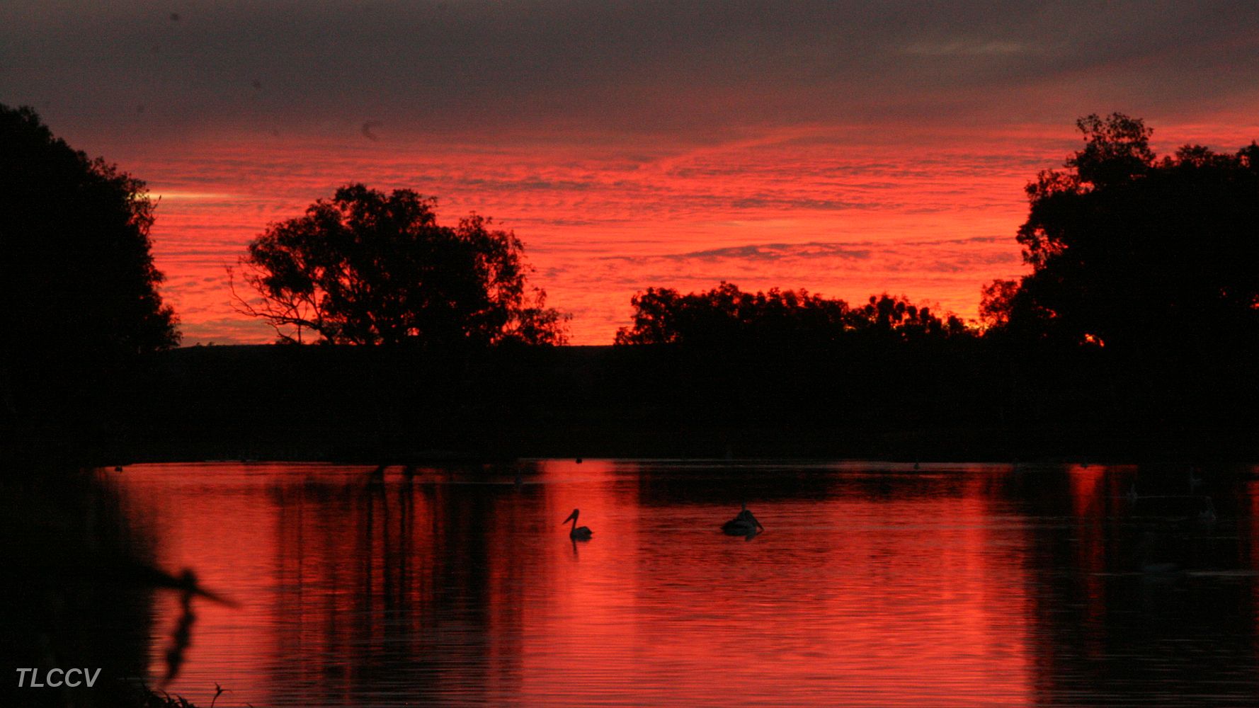 Cooper Sunset.JPG